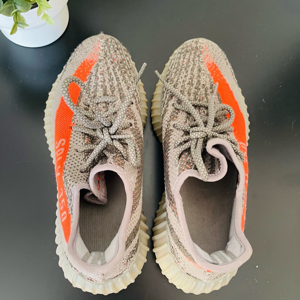 Beluga Yeezy